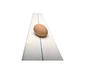 Egg collection conveyor belt Barbieri type SP, width 80 mm, NSPN080WH000 - Фото