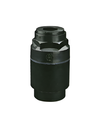 Check valve 3/4, PVC Lubing (4125-05) - Фото