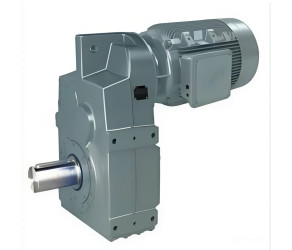 Gear motor, for the egg collection system, Lubing (50 23 013) - Фото