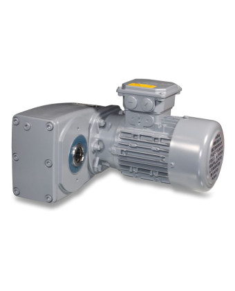Geared motor, for egg collection, 037 kW, Lubing (50 03 231) - Фото