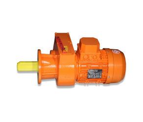 Big Dutchman Редуктор для двигуна 0,75 кВт 230/400 В 50 Гц 22,5 об/хв вал 35x56 для MPF 10-93-5010 - Фото