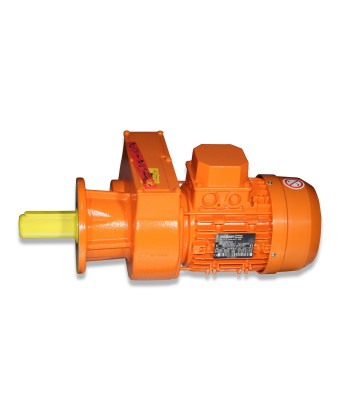 Big Dutchman Редуктор для двигателя 0,75 кВт 230/400 В 50 Гц 22,5 об/мин вал 35x56 для MPF 10-93-5010 - Фото