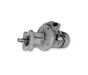 VVM Мотор-редуктор (20005-T-I-4,75) - Фото