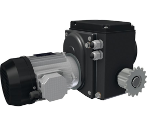 Мотор-редуктор RW403-44600360CU86 Ridder (502219P) - Фото