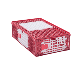 Ящик для перевезення птиці (15-18 курчат), RIVER (VAD1512-01) - Фото