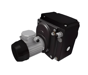 Мотор-редуктор Ridder RW243TRA-25400386IP55 (502356) - Фото