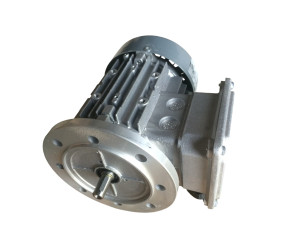 Roxell Мотор-B5-018KW-3X230/400V-50HZ для пересипання корму 13601364 - Фото