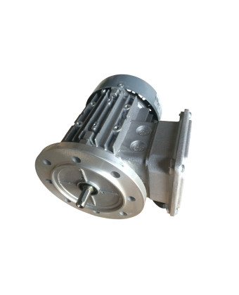 Roxell Мотор-B5-018KW-3X230/400V-50HZ для пересипання корму 13601364 - Фото