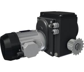 Gear motor RW243-25208-4803CU86 Ridder (535460P) - Фото