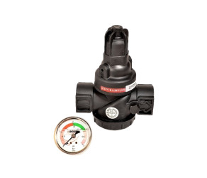 Roxell Обмежувач тиску 3 бар, 1 з манометром, 02001477 - Фото