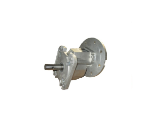 Roxell Редуктор Varvel B5-71-1/394 - D22, (13106505) 13109828 - Фото