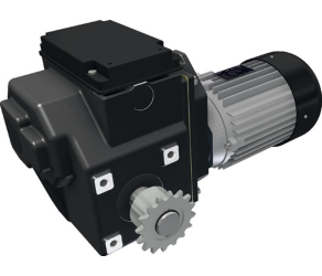 Мотор-редуктор Ridder RW805-11040031203C (502523P) - Фото