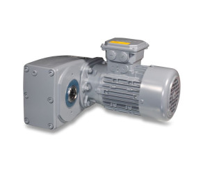 Gear motor, Lubing (50 04 131) - Фото