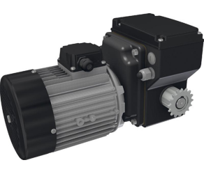 Gear motor RW140-34-1102301C860 Ridder (538141) - Фото