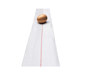 Barbieri Egg Collecting Tape 100mm Width Red Line NSPN100WHO30 - Фото