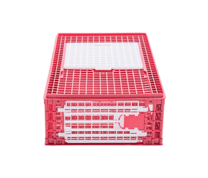 Ящик для перевезення курчат (15-18 гол), RIVER (VAD1511-01) - Фото