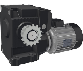 Gear motor RW2000-3S-200400386 Ridder (520240P) - Фото