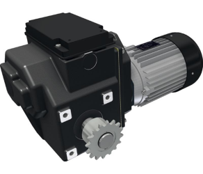 Gear motor RW805-110600603C120 Ridder (536870P) - Фото