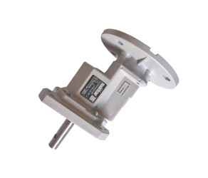 Roxell Редуктор B5-71-1/3,94 - G524 10111821 - Фото