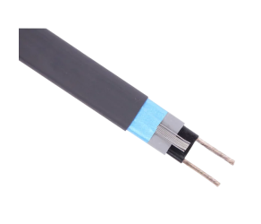 Кабель нагрівальний саморегульований 30Вт/м TESR-30-AO (h12550072) - Фото