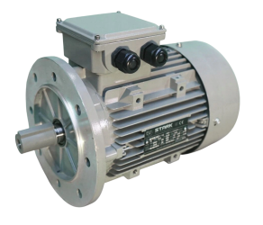 Fan motor Gigola ES 140 11 kW (1270GBR15) - Фото