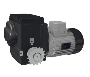 Мотор-редуктор Ridder RW603-554003863C (502436) - Фото