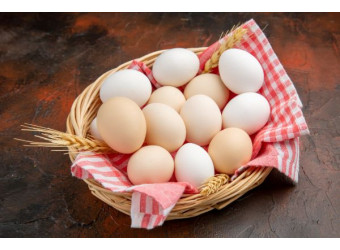 Якість шкаралупи яєць залежить від мікроклімату у пташнику
