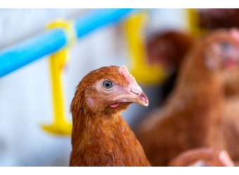 З турботою про кожну краплю води