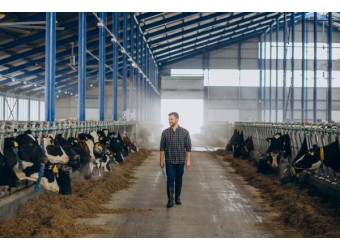 Комфортне утримання із системою туманоутворення