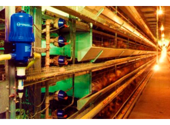 Точне дозування ліків у свинарстві