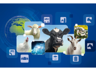 The International Livestock Exhibition EuroTier 2024 opened in Hanover