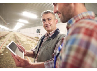 Курник та роботи: як технології змінюють ферму