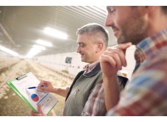 Як економно організувати мікроклімат на птахофермі