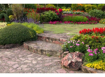 Поради від експертів: як виростити сад вашої мрії