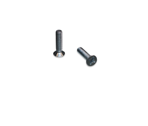 Big Dutchman Гвинт потайний з хрестовою головкою M6x25 DIN 965-48 оцинкований 99-10-1679 - Фото