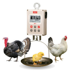 Вагове обладнання 