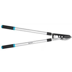 Сучкорізи(Гілкорізи)