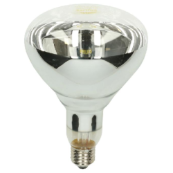 Лампи для обігріву тварин