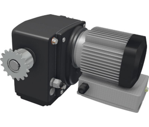 Gear motor RW242-25400386IP55 Ridder (537205) - Фото