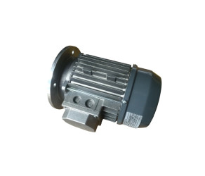 Motor Roxell B5 037 kW, 3x230/400 V, 50 Hz (10106482) - Фото