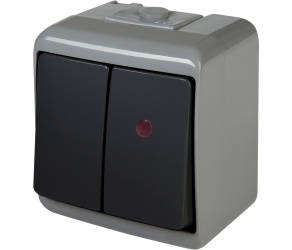 Вимикач 2-клавішний з підсвіткою ETI VHE-2L-SRG (сіро-графіт, IP54) (004668103) - Фото