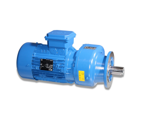 Big Dutchman Редукторний двигун 1,50 230/400 50/60 3PH 31/37,5U вал 35x58 10-88-4029 - Фото