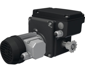 Gear motor RW45-1-09400397 Ridder (502000P) - Фото