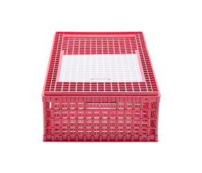 Ящик для перевезення птиці , RIVER (VAD1520-01) - Фото