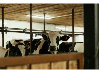 Шафи управління на фермі: зручно й ефективно