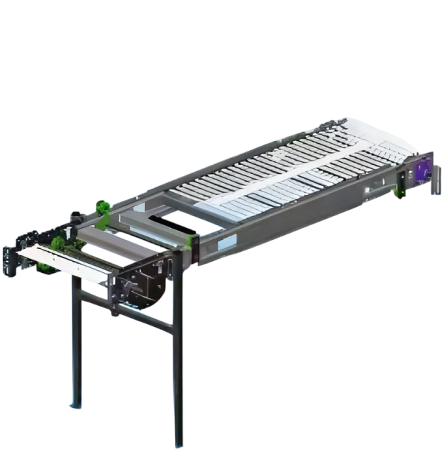 Belt conveyor, for egg collection, 1 line, Lubing (311 006 05 00)