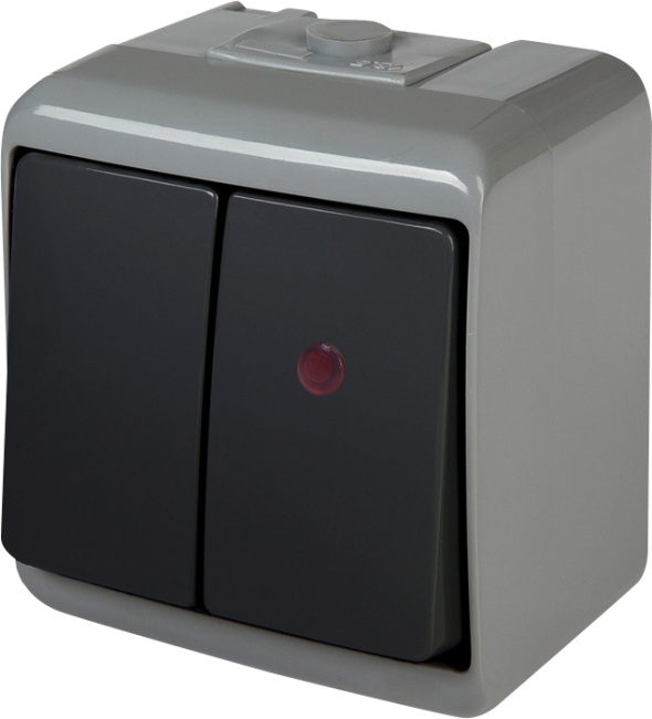 Вимикач 2-клавішний з підсвіткою ETI VHE-2L-SRG (сіро-графіт., IP54) (004668103)