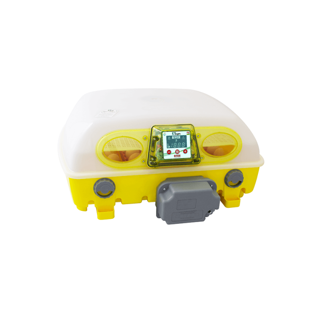 Инкубатор с автоматическим переворотом яиц ET 49 , RIVER (VAD549/A/115/BM)