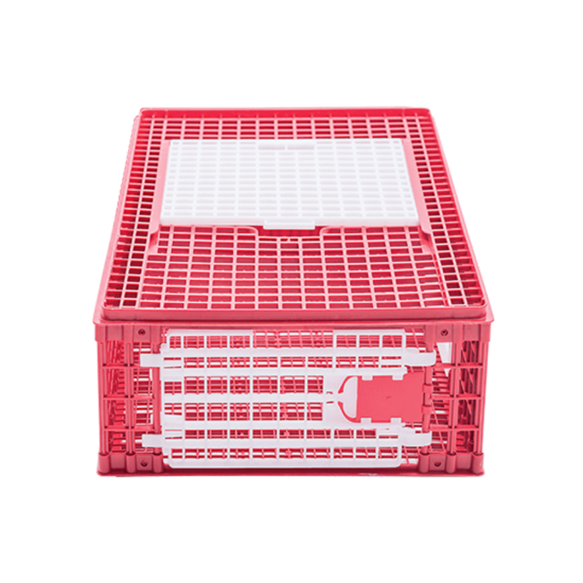 Box for transportation of chickens (15-18 heads), RIVER (VAD1511-01)