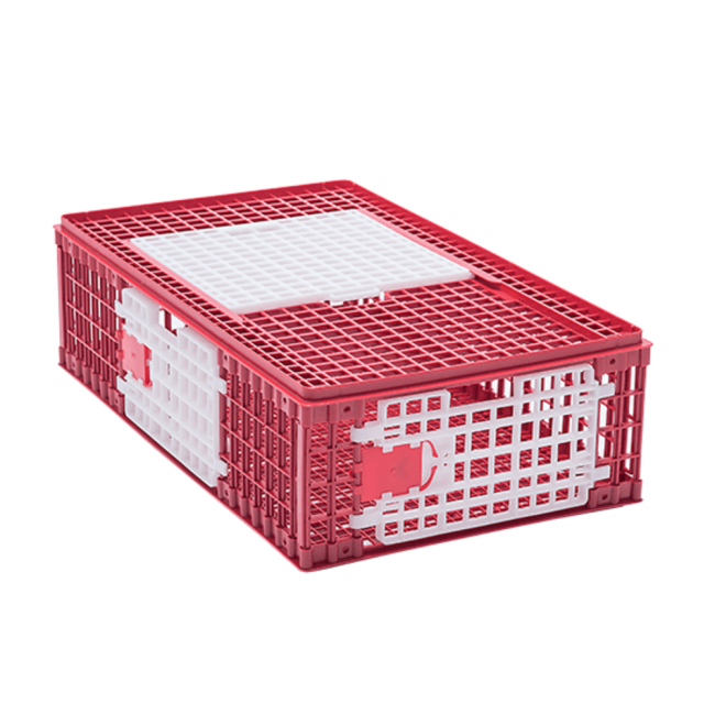 Ящик для перевозки птицы (15-18 цыплят), RIVER (VAD1512-01)